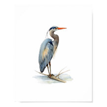 Watercolor Grote Blauwe Reiger Vogel Schilderij