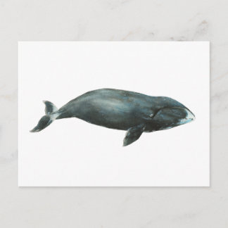 Watercolor illustratie van Groenlandse walvis Briefkaart