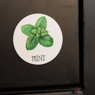 Watercolor Kruiden Munt Ronde Sticker