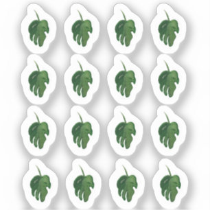 Watercolor Monstera Blad Groene Sticker Set