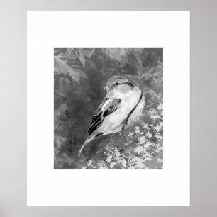 Watercolor Musvogel in Bos Poster