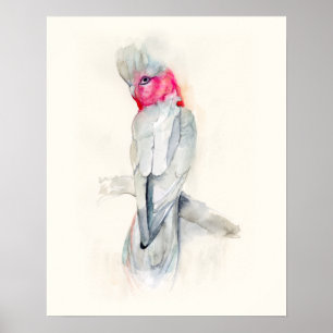Watercolor Opera Cockatoo Poster