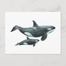 Watercolor Orca Whale Mother and Baby Poster
