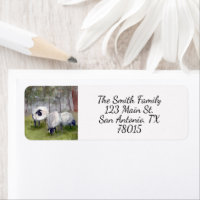Watercolor Schapen Retouradres