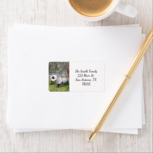 Watercolor Schapen Retouradres Etiket