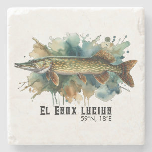 Watercolor Serie: Snoek Stenen Onderzetter