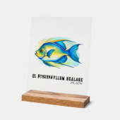 Watercolor Series: Angelfish Acryl Bord (Hoek)