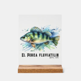 Watercolor Series: Perch Acryl Bord