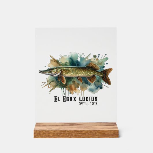 Watercolor Series: Pike (Recto)