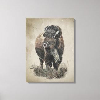 Watercolor Vintage Look Bison Buffalo Animal Art Canvas Afdruk