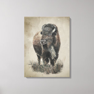 Watercolor vintage look bizon buffel dier kunst canvas afdruk
