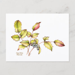 Watercolor wildflower barberry postcard briefkaart