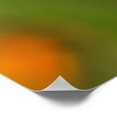 Waterdruppel Close-up Poster (Hoek)