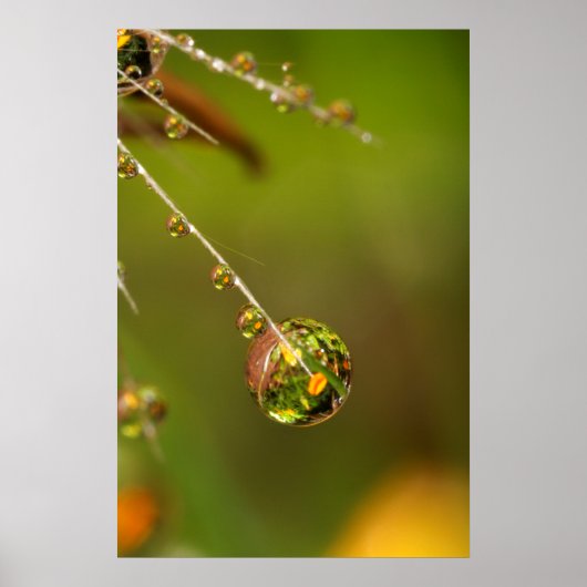 Waterdruppel Close-up Poster (Voorkant)