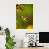 Waterdruppel Close-up Poster (Thuiskantoor)