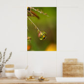 Waterdruppel Close-up Poster (Keuken)