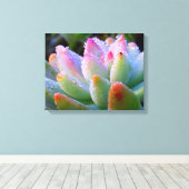 Waterdruppel succulent canvas afdruk (Insitu (Houten vloer))