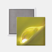 Waterdruppelmagneet 3 magneet (Voorkant / Achterkant)