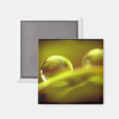 Waterdruppelmagneet Magneet (Voorkant / Achterkant)