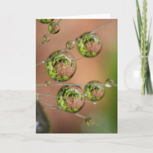 Waterdruppelreflectie Kaart