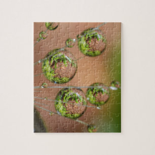Waterdruppelreflectie Legpuzzel