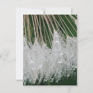 Waterdruppels Briefkaart