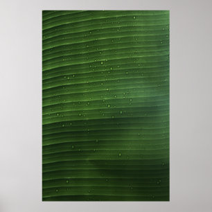 Waterdruppels op groen blad poster