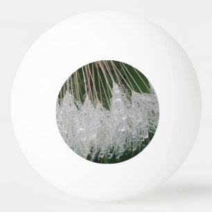 Waterdruppels Pingpongballen