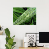 Waterdruppels. Poster (Thuiskantoor)