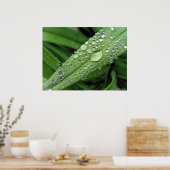 Waterdruppels. Poster (Keuken)