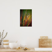 Waterdruppeltjes Kalme rustige Natuur Vreedzame Ze Poster (Keuken)