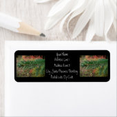 Waterdruppeltjes op Spruce Bough Etiket (Insitu)