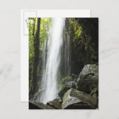 Waterfal, in rainforest, Dominica, Emerald Pool Briefkaart (Voorkant / Achterkant)