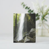 Waterfal, in rainforest, Dominica, Emerald Pool Briefkaart (Staand voorkant)