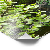 WATERFALEN FOTO AFDRUK (Hoek)