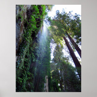 Waterfall en Cliff Poster