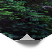 Waterfall en Cliff Poster (Hoek)