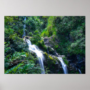 Waterfall in Maui Hawaii Poster