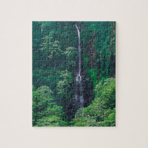 Waterfall Lush Costa Rican Legpuzzel