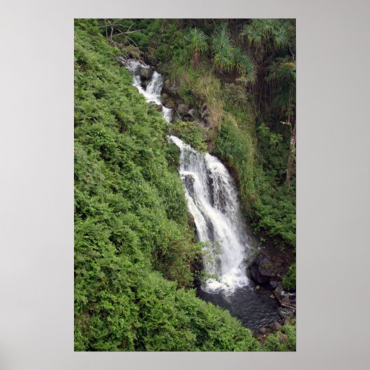 Waterfall Near Hilo, Hawaii Poster (Voorkant)