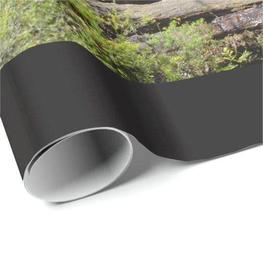 Waterfall Roll Cadeaupapier (Rol Hoek)