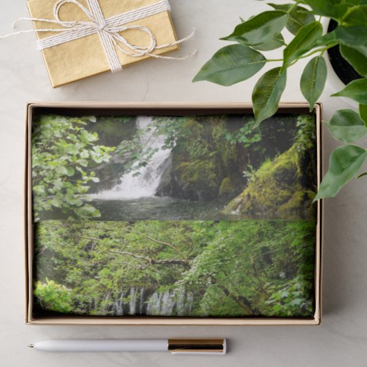 WATERFALL TISSUEPAPIER (Geschenk)