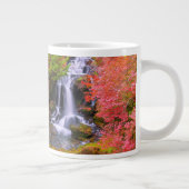 Waterfalls | Faucet Waterfalls Nikko Japan Fall Extra Grote Beker (Rechts)