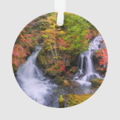 Waterfalls | Faucet Waterfalls Nikko Japan Fall Ornament (achterkant)