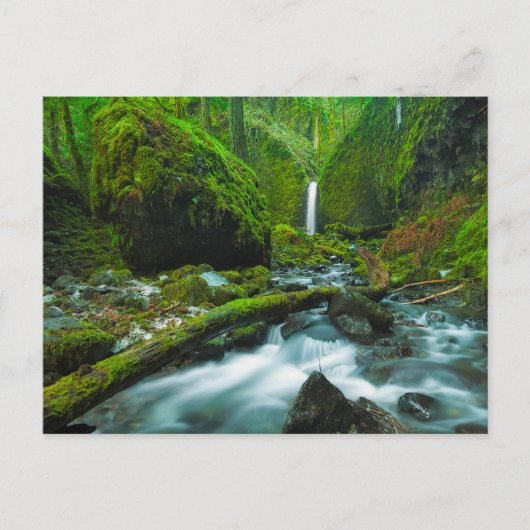 Waterfalls | Grotto Falls, Oregon Briefkaart (Voorkant)