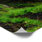 Waterfalls | Kirkjufell, Iceland Poster (Hoek)