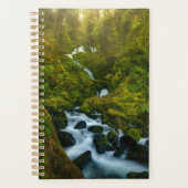 Waterfalls | Olympic National Park, Washington (Devant)