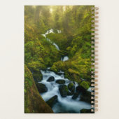 Waterfalls | Olympic National Park, Washington (Dos)