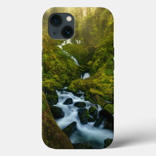 Waterfalls | Olympic National Park, Washington Case-Mate iPhone Case (Achterkant)