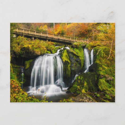 Waterfalls | Triberg Waterfalls, Germany Briefkaart (Voorkant)